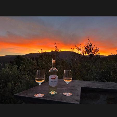 Il Gabbiano Di Pieve Bed & Breakfast เปียเว ลิกูเร ภายนอก รูปภาพ