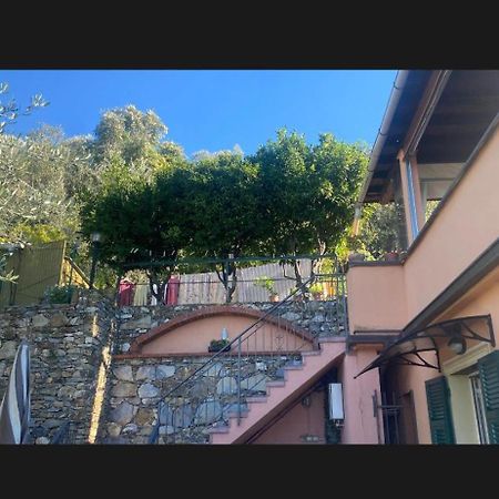 Il Gabbiano Di Pieve Bed & Breakfast เปียเว ลิกูเร ภายนอก รูปภาพ