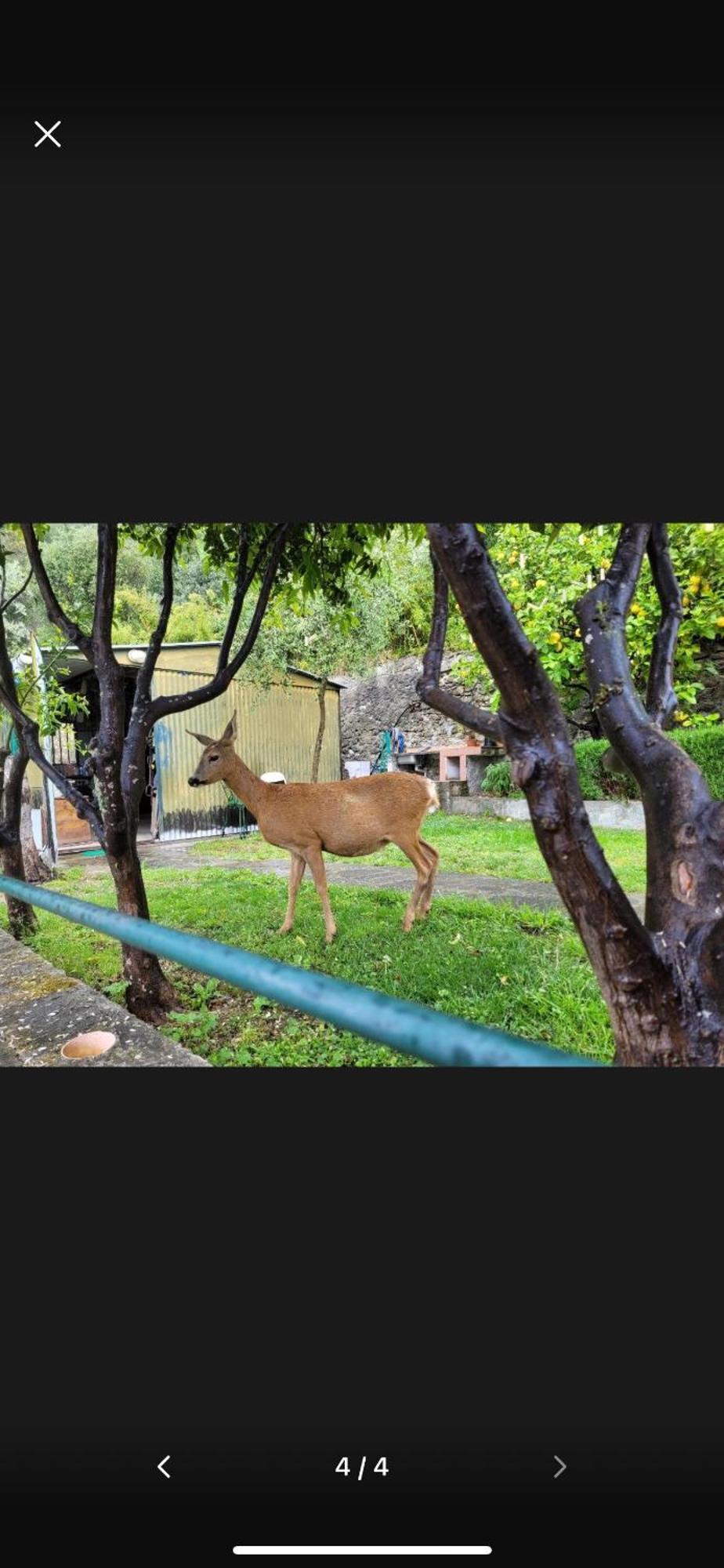 Il Gabbiano Di Pieve Bed & Breakfast เปียเว ลิกูเร ภายนอก รูปภาพ