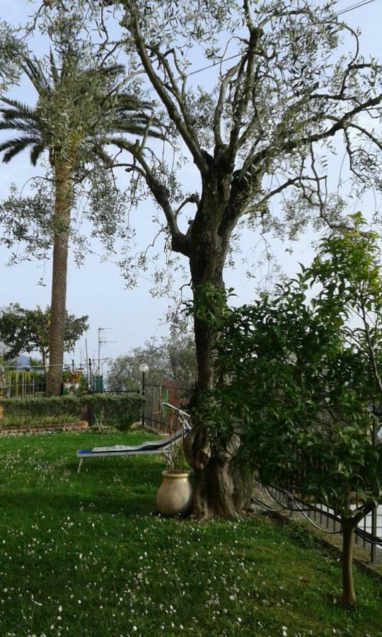 Il Gabbiano Di Pieve Bed & Breakfast เปียเว ลิกูเร ภายนอก รูปภาพ